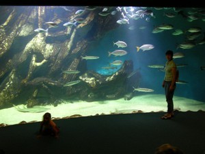 Aquarium de La Rochelle 1
