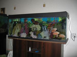 аквариум 500 литров-1