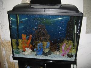аквариум 500 литров-7
