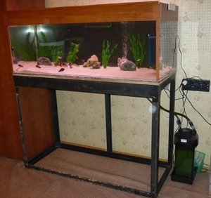 аквариум 450