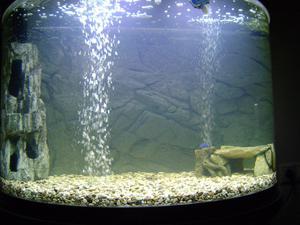 Вид фона с водой в аквариуме