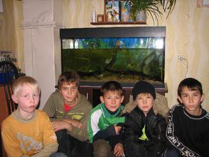 Мальчишки рядом с аквариум