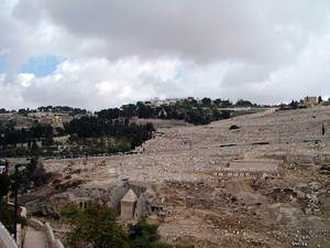 Вид на Масличную гору со стороны старого Иерусалима
