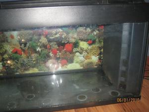 аквариум 160л
