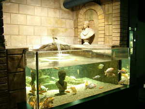 London Aquarium 11