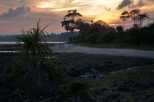 Закат, отлив, андаманы