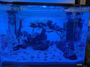 Мой первый(второй) аквариум. Прошу помощи с выбором всего необходимого и запуском травника