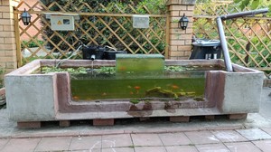 Садовый аквариум из пенопласта и цемента