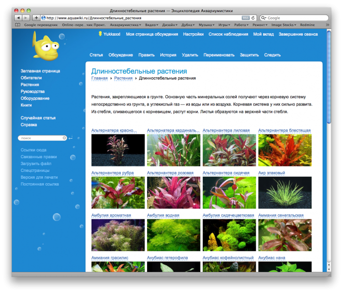 Файл:Оформление атлас.png